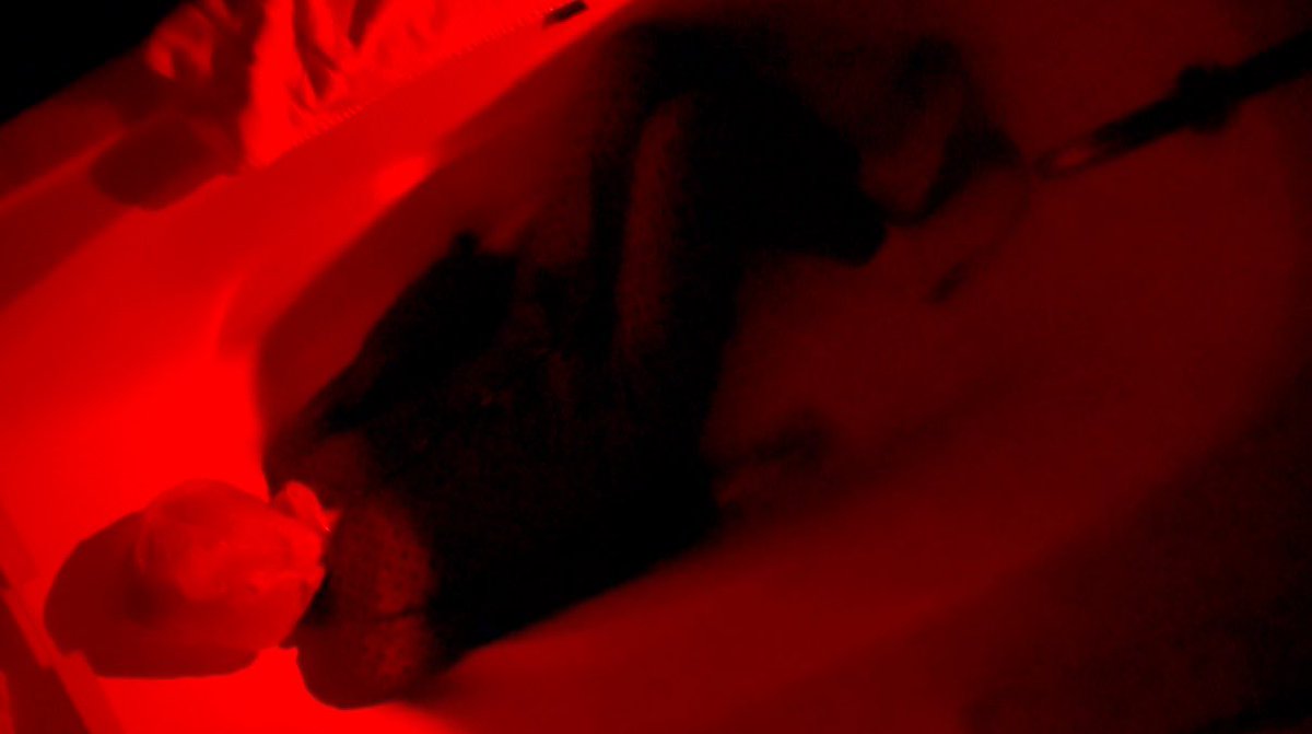 residentdillon's tweet image. I keep thinking I’ll wake up, with the pain gone…
DEEP-EYED releasing later this year 👁️