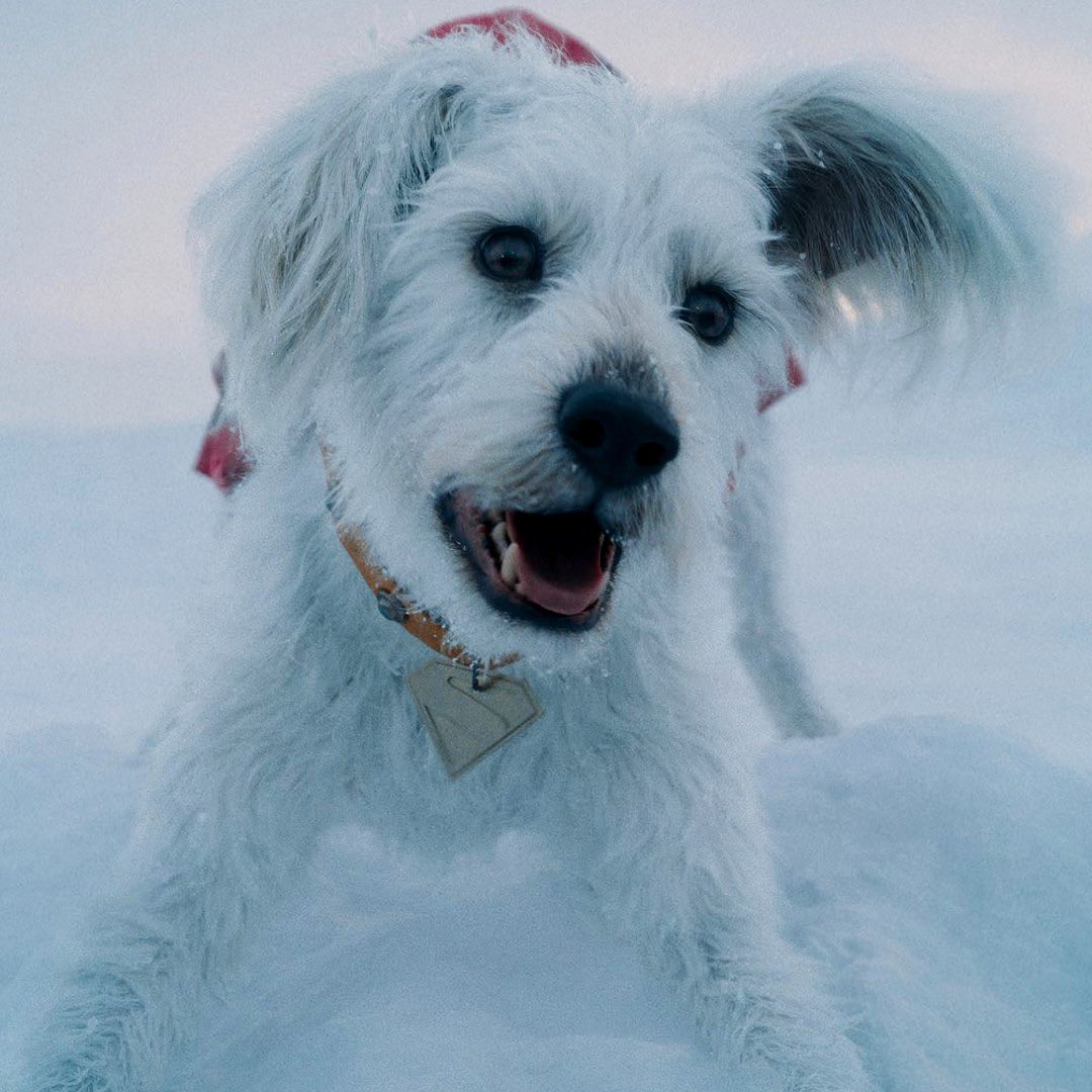 Ya vi superman y me pasé varias partes de la película retorciéndome de ternura awwwwwww♥️