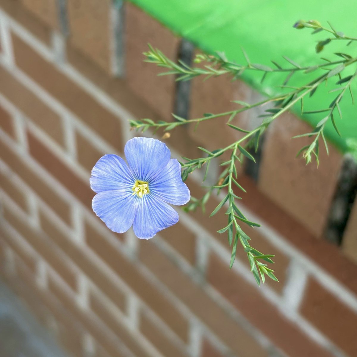 호 호..
#종현아_이것봐
#종현꽃이_피었습니다
#김종현