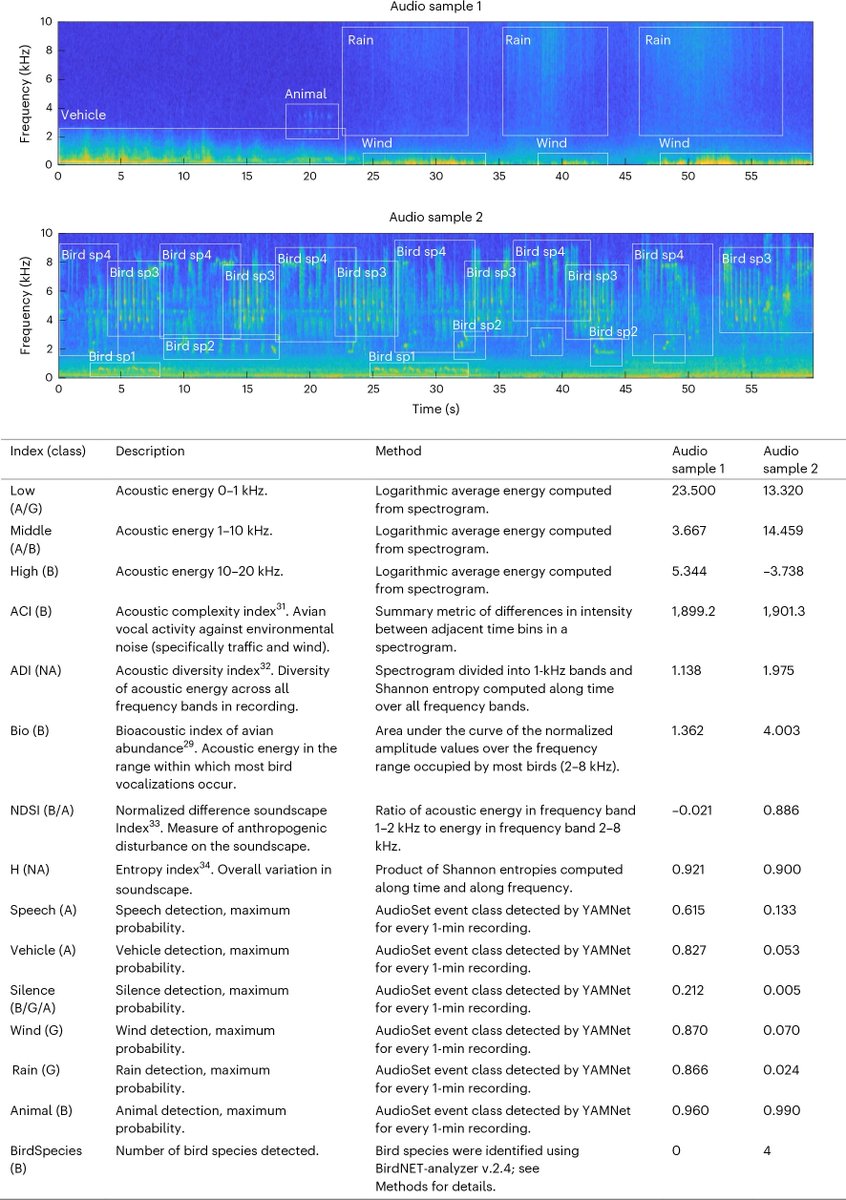 A.Benítez-Burraco (@abenitezburraco) on Twitter photo At urban sites, animals experience an increasingly noisy background of sound, which poses challenges to efficient communication
nature.com/articles/s4155… At urban sites, animals experience an increasingly noisy background of sound, which poses challenges to efficient communication
nature.com/articles/s4155…