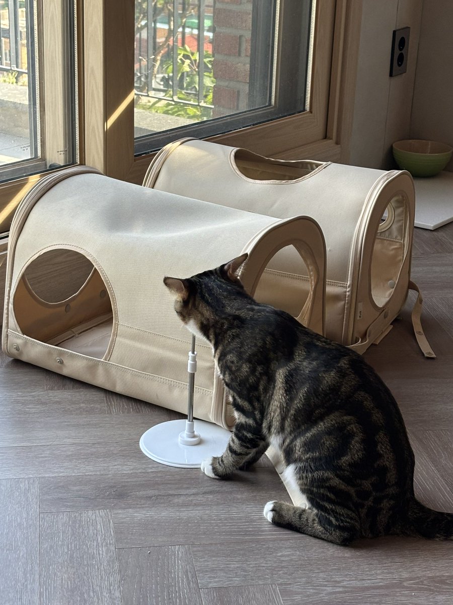 람똥이 그걸 왜 물어뜯나요