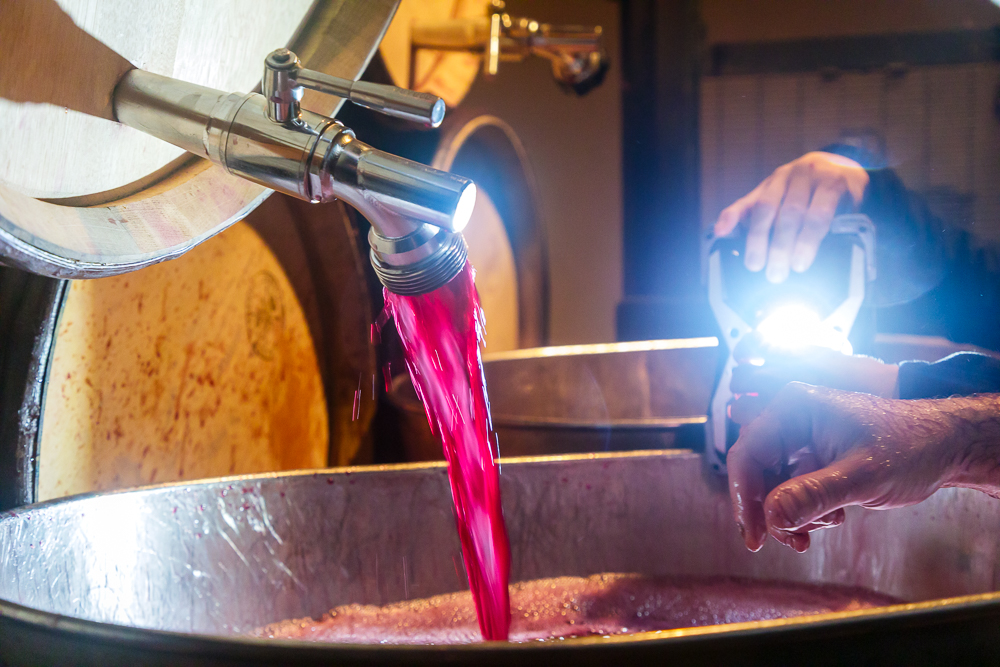 Travail de soutirages sur nos Côte-Rôtie 🤩 Wine racking on our Côte-Rôtie #guigal #coterotie #Vin #Oenologie #Soutirage #Wine #winemakingjourney
📷 Stéphane Chalaye Photographie
