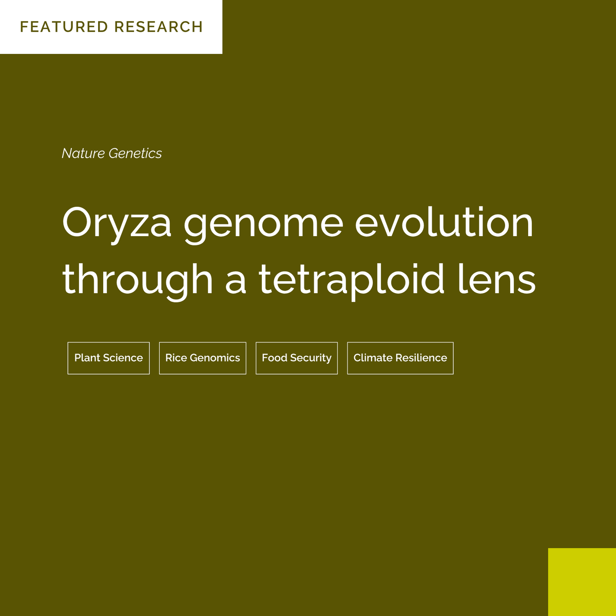KAUST_BESE's tweet image. Reference genomes for rice’s wild relatives may boost future crops.
A near-complete genomic framework for wild Oryza species—led by KAUST researchers—provides insights into the evolution of the rice genus and offers new avenues for crop improvement and conservation.
🔗 KAUST…