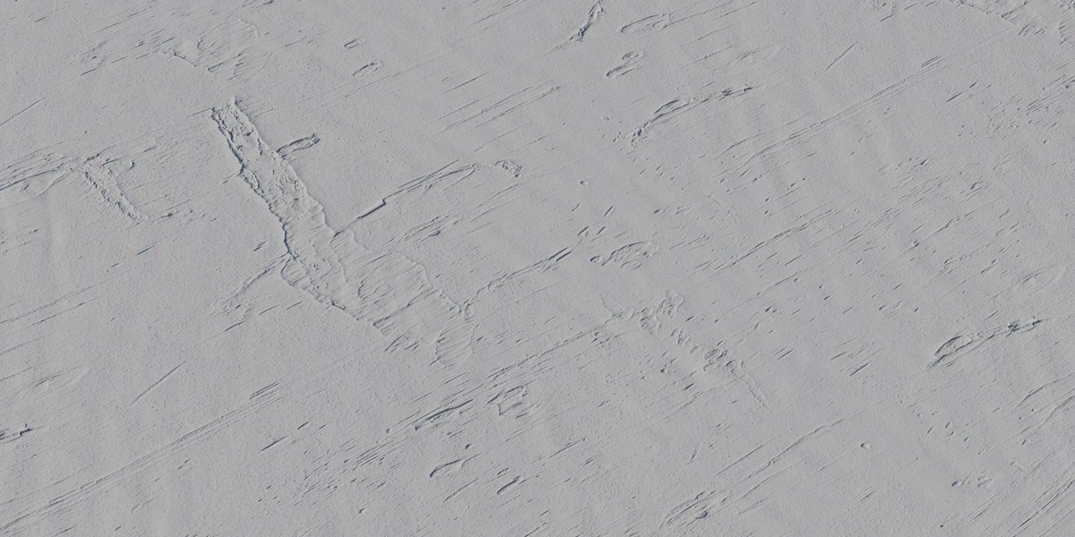 New 8K Texture: Chinese Hackberry Bark
Download: polyhaven.com/a/chinese_hack…
#free #cc0 #pbr #b3d