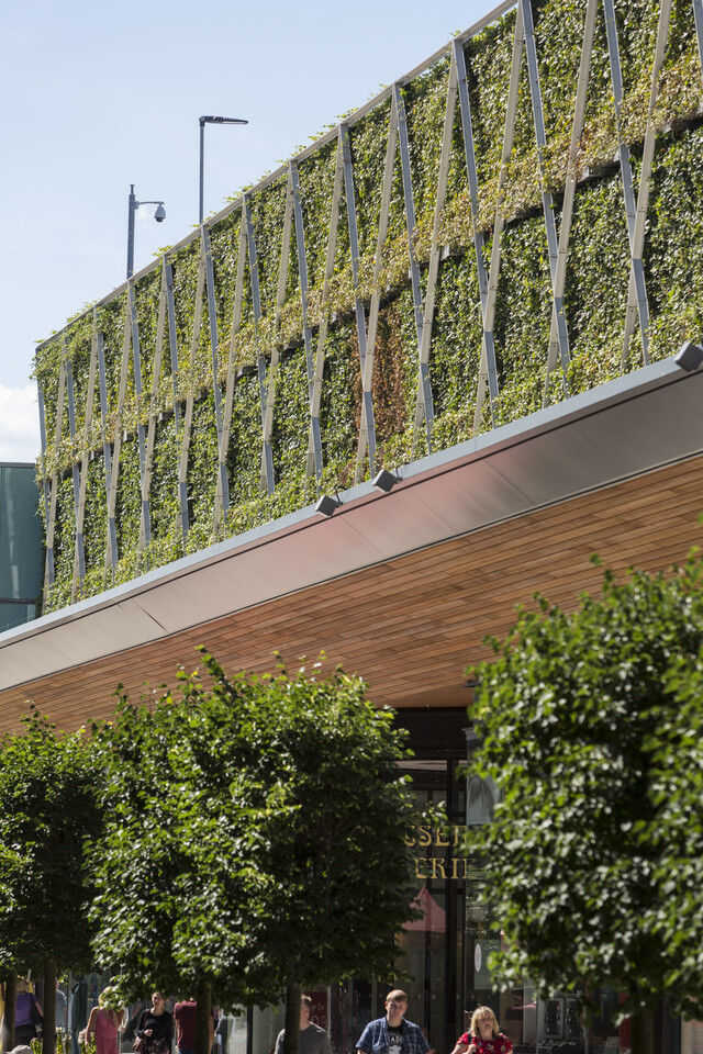 Living walls by Civic Trees bring greenery to commercial spaces in a smart, space-saving way. They help clean the air, reduce indoor toxins, and make the most of vertical areas with natural planting.

💻 civictrees.co.uk
📞 +44 (0)208 950 4491
#livingwalls #civictrees