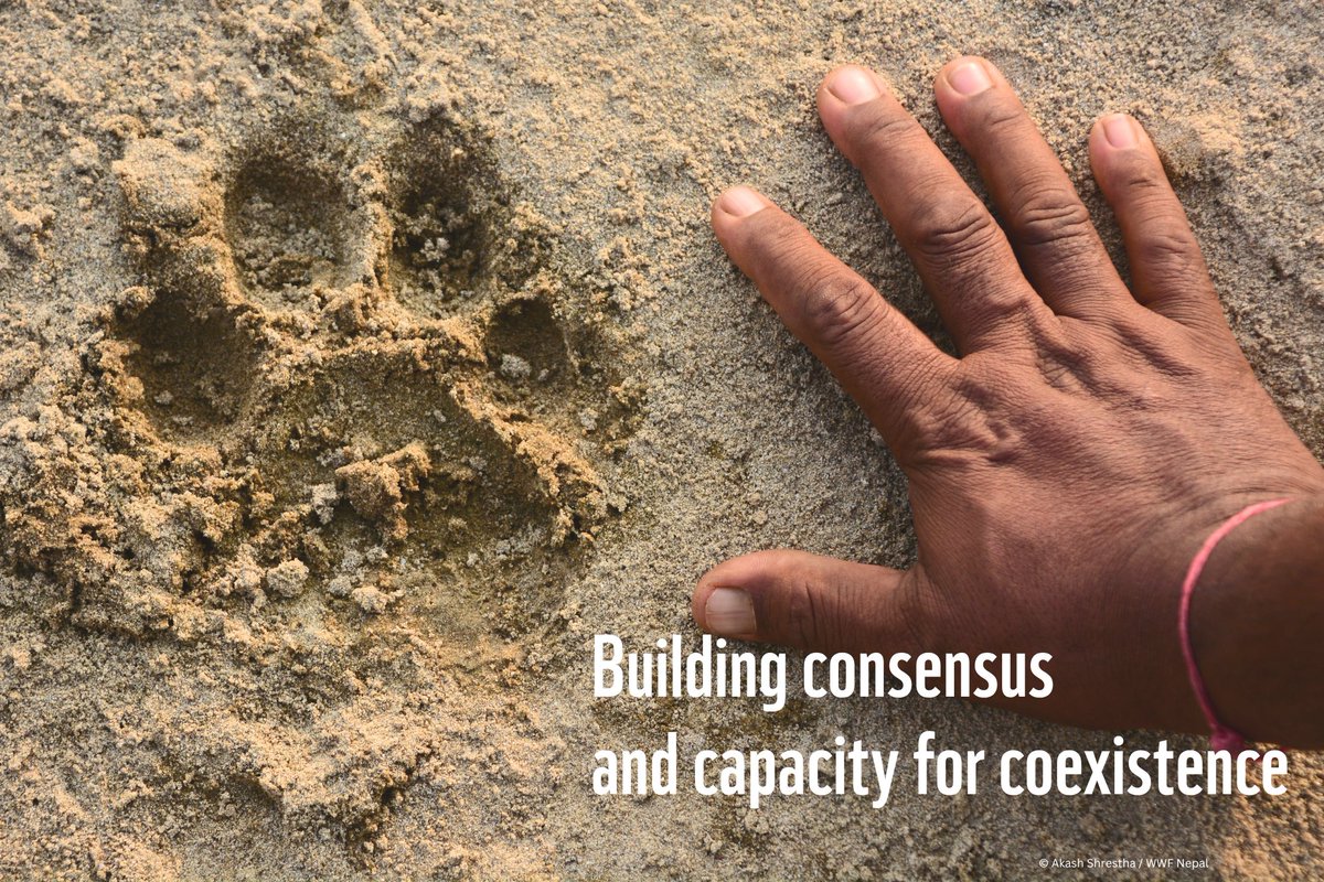 WWFNepal's tweet image. WWF Nepal is proud to announce that the Global Environment Facility has approved Govt of Nepal-GEF 8 project for Managing Human-Tiger Interface in Nepal.
Together, with DNPWC, we are working towards a future where people live in harmony with nature.
#TogetherPossible
