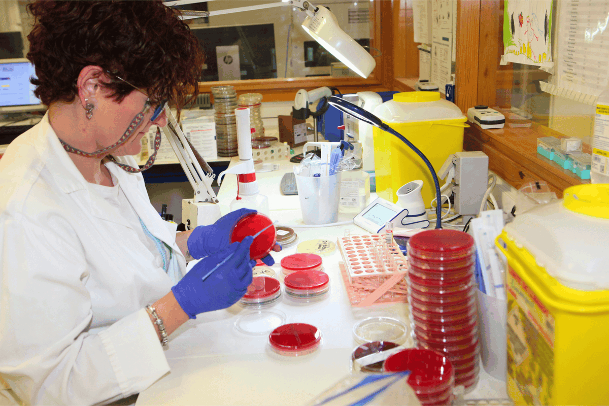 🧪 Las muestras microbiológicas son clave para diagnósticos rápidos y tratamientos adecuados. 👩‍⚕️Nuestros profesionales forman a equipos de atención primaria y hospitalaria en técnicas de toma de muestras, garantizando la calidad y #seguridad del proceso✅
#CuidadosSeguros #PROA