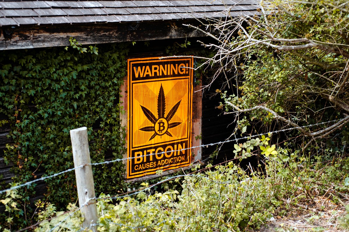 NEEDTHATSAT's tweet image. GROW HOUSE