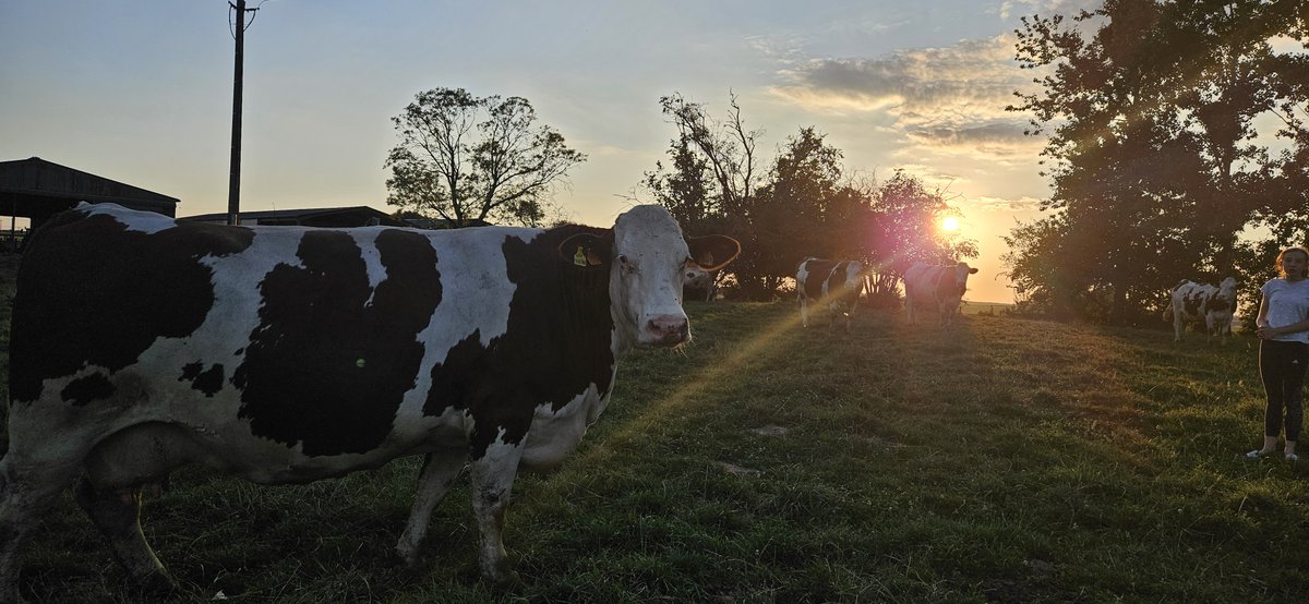[CONCOURS PHOTO – LUMIÈRES D’ÉTÉ SUR MA FERME 🌱]

Nouvelle semaine lancée pour le concours !

📸​ Photo N°5 : Direction Plomion, le 11 juillet 2025 chez M. Woimant