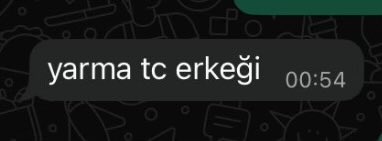 üslubun hayvanatlık yardı