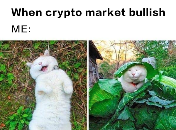Me when $BTC pumps and my bags finally move:

🛌😽🌿 wrapped in profits

#CryptoVibes #MemeTrading #BullishEnergy #UEEx