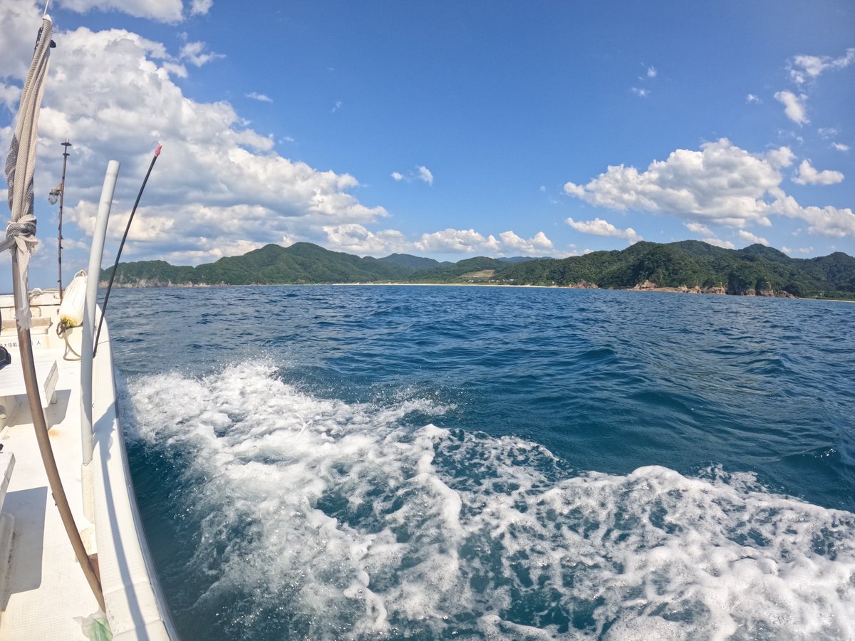 umizono's tweet image. 昨日は久しぶりの雨でしたが今日はまた真夏な感じに戻りました。今日は体験ダイビングのち15時~ファン1ボート
①羽尾旧突堤 水温26.4度(水深4m)透視度15m
②高瀬 水温24.4度(水深18m)透視度10~15m
透視度も真夏に近づきつつあります。#鳥取県 #岩美町 #羽尾 #ダイビング