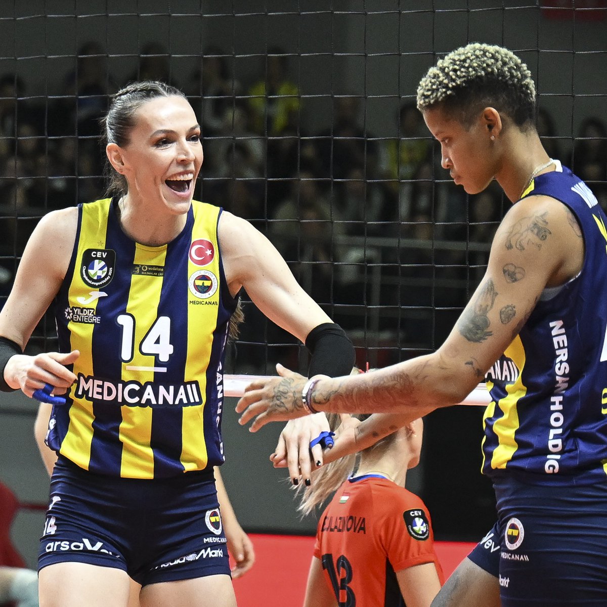 🟡🔵 Fenerbahçe Medicana’nın CEV Şampiyonlar Ligi’ndeki rakipleri belli oldu!

 B Grubu

🇮🇹 Novara
🇵🇱 Budowlani Lodz
⚫️ Elemeden gelecek takım