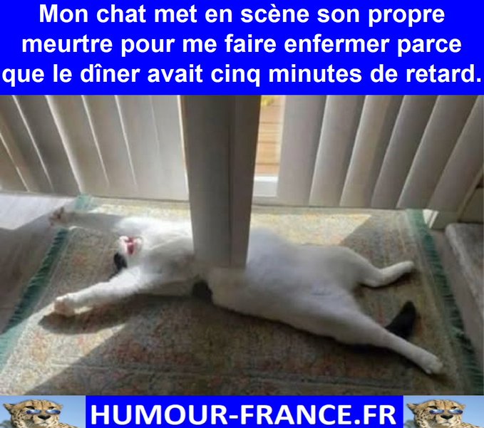 text alternatif