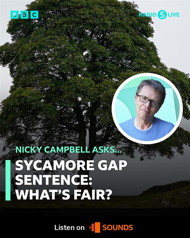 bbc5live's tweet image. The two men found guilty of felling Sycamore Gap tree in Northumberland will be sentenced later today.
Both men have been convicted of two counts of criminal damage - potentially facing up to 10 years in prison.
Fair punishment or disproportionate?
Nicky Campbell asks:…