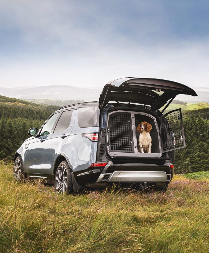 🚐🐶 Discover how TransK9 upgraded their dog transit crates with Biomaster antimicrobial protection, built into the product to inhibit harmful bacteria for more hygienic journeys.

👉 Read more: addmaster.co.uk/case-studies/t…

#PetSafety #dogs #Antimicrobial #Biomaster #TransK9