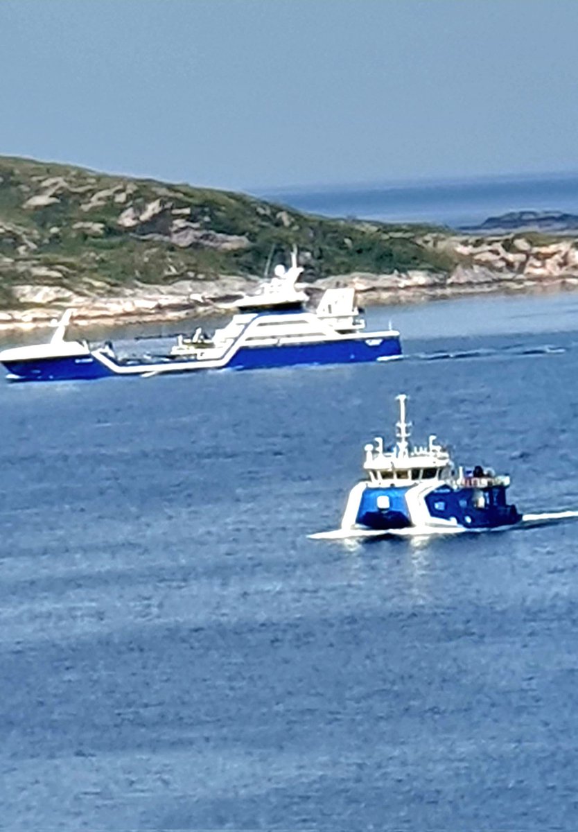 Stille og varm sommerdag i Midt. På havet er det bestandig trafikk, disse to kler hverandre fortreffelig, selv om de er forskjellige.