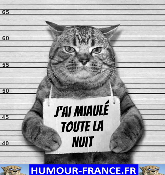 text alternatif