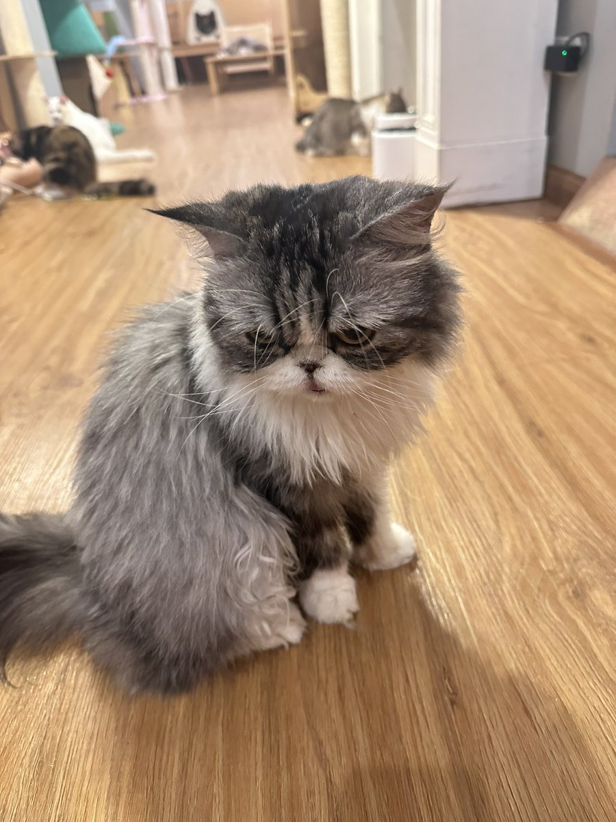 อยากเอาตัวนี้กลับบ้าน