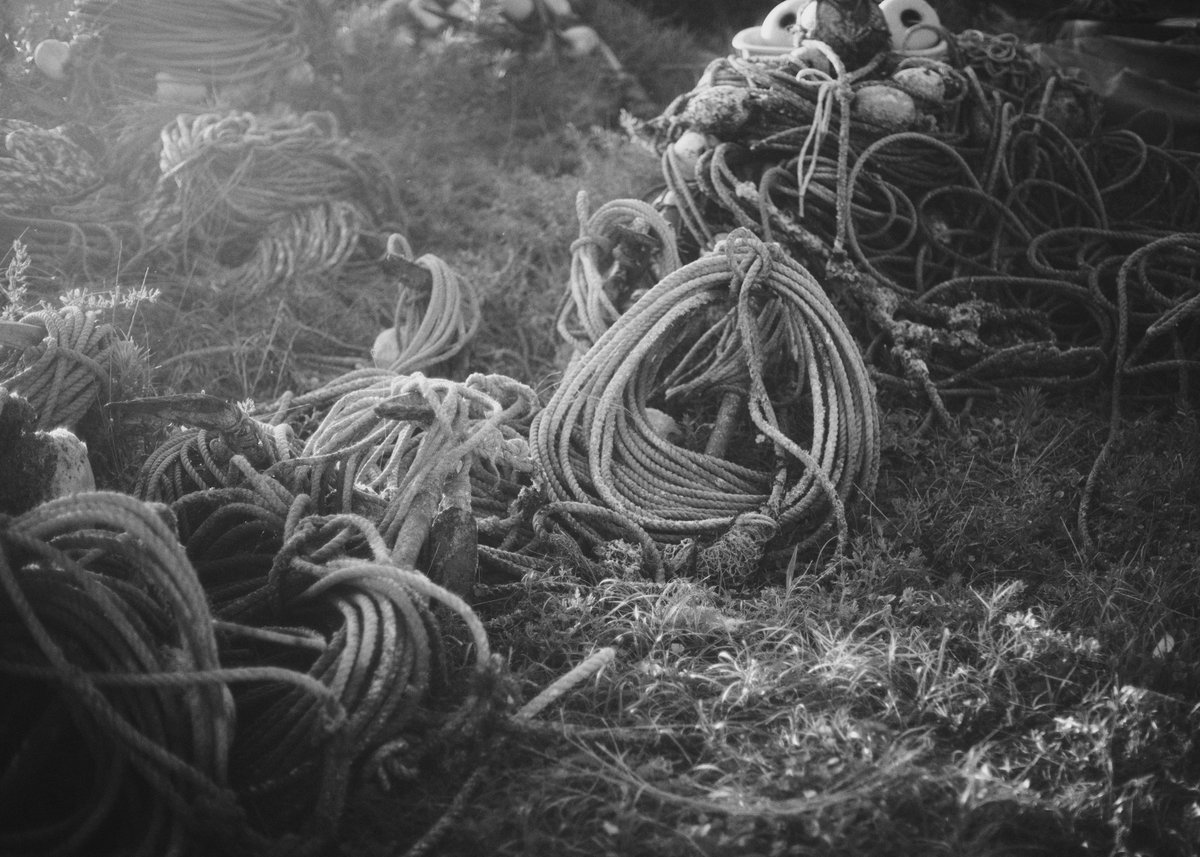 Naoya Omiya tweet media