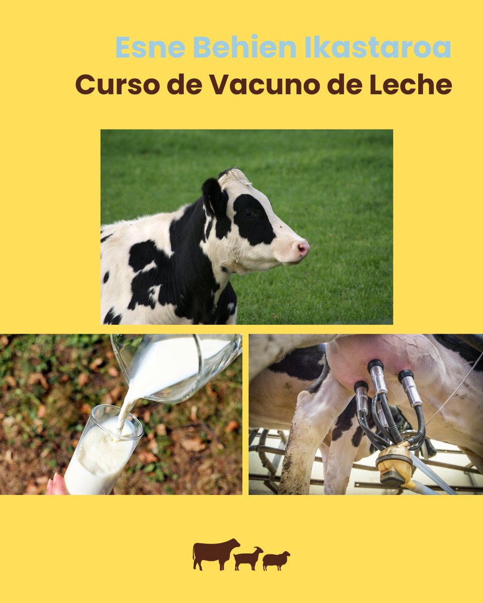 POCTEFA Know N Cheese (@knowncheese) on Twitter photo 🏔️ La innovación y la formación son clave para el futuro del sector lácteo artesanal en la zona #Poctefa.
🐄 🥛 Ya puedes inscribirte en el curso Vacuno de leche, organizado por <a href="/hazifundazioa/">Hazi Fundazioa</a>, y dirigido a jóvenes ganaderos, técnicos y estudiantes. bit.ly/3TkWvWa 🏔️ La innovación y la formación son clave para el futuro del sector lácteo artesanal en la zona #Poctefa.
🐄 🥛 Ya puedes inscribirte en el curso Vacuno de leche, organizado por <a href="/hazifundazioa/">Hazi Fundazioa</a>, y dirigido a jóvenes ganaderos, técnicos y estudiantes. bit.ly/3TkWvWa