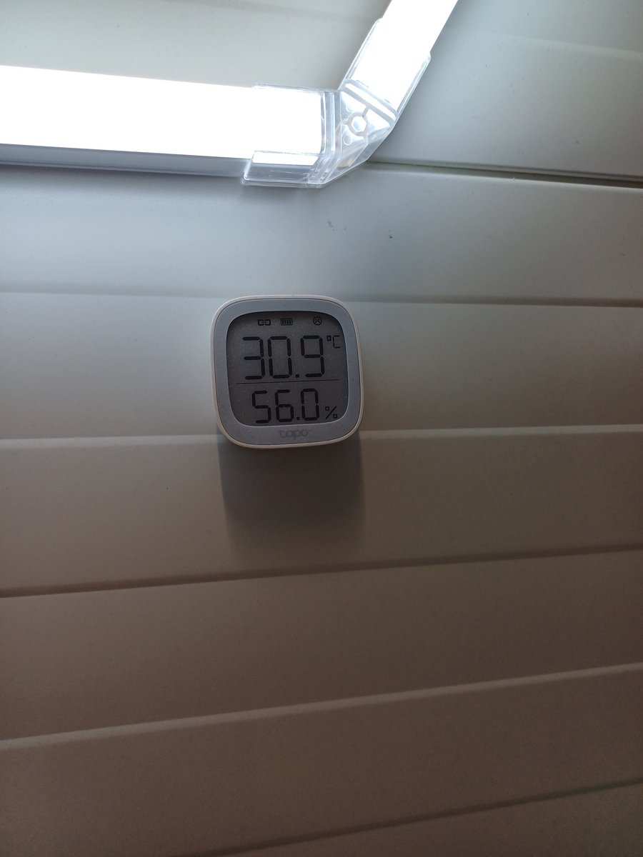 *͡𝙽𝚗𝚗𝚡𝚞 ⸸ tweet media