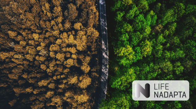 LIFE_NAdapta_CC's tweet image. 🇪🇺 Una encuesta afirma que la ciudadanía europea considera que la lucha contra el #CambioClimático es una prioridad y apoya la independencia energética

▶️lifenadapta.navarra.es/es/-/eurobarom…

#HCCN #KLINa #LIFEProgramme #LIFEAmplifiers #LIFEProject #NavarreInEurope #Mitigación #Eurobarometro