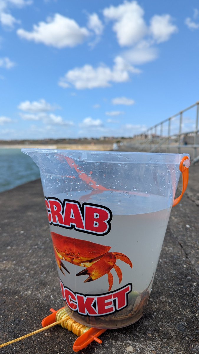 Gone crabbin'.