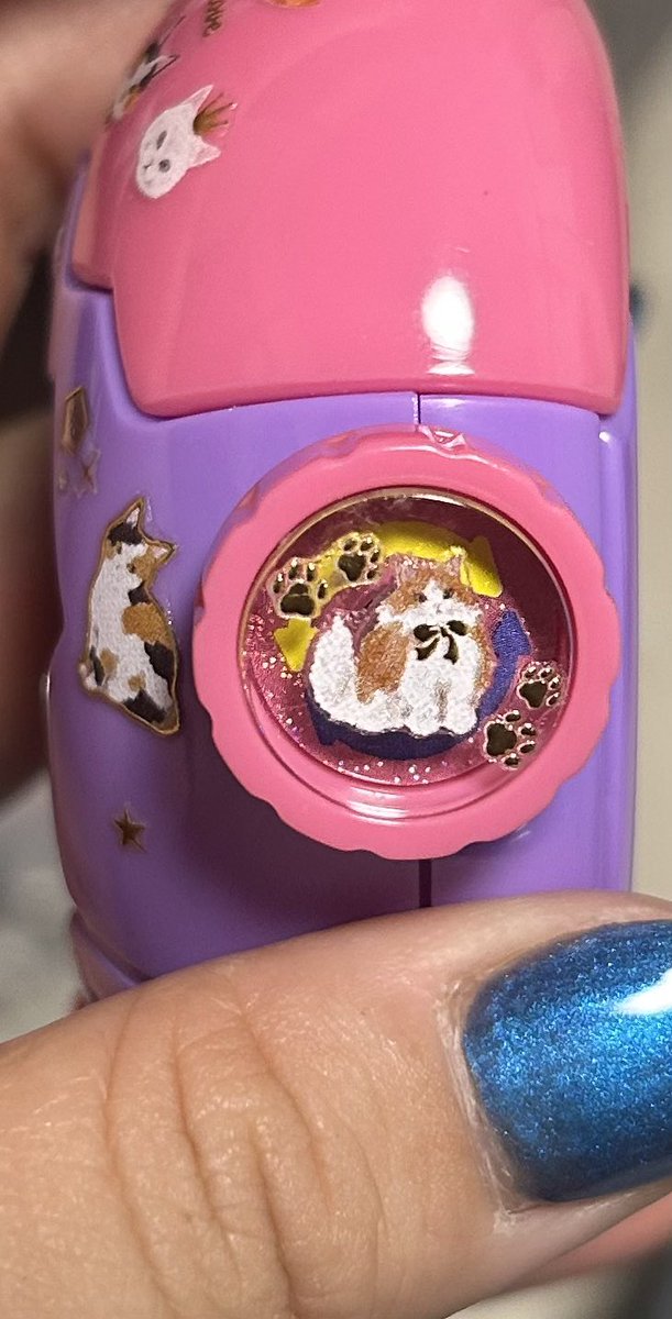 KArisa0212's tweet image. パープルはなんか一目惚れで買ったにゃんこ仕様に✌️