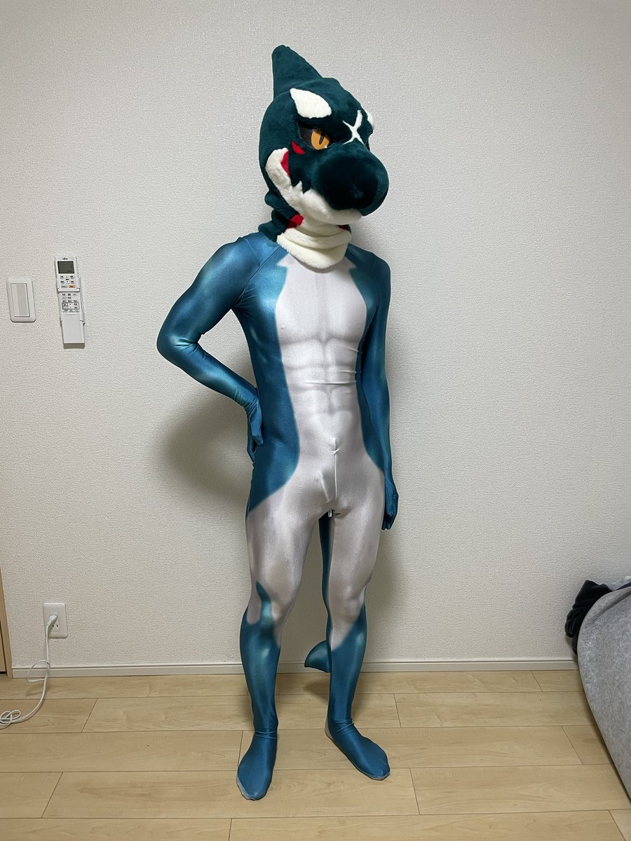 おシャチさん ぴちぴちになってムキムキに