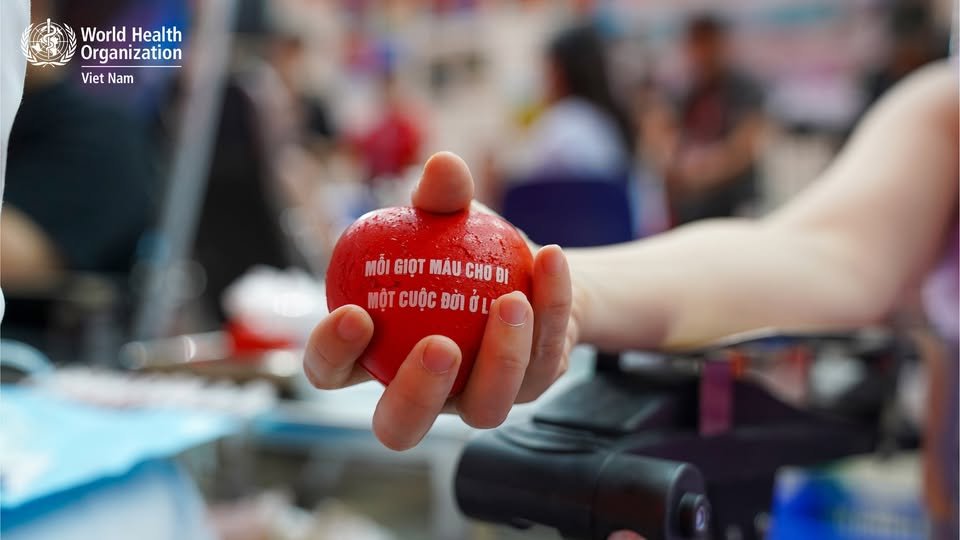 WHOVietnam's tweet image. 🩸Access to safe blood can mean the difference between life and death – including for patients undergoing surgery, women during childbirth and children with severe anaemia.
🩸Blood donation is particularly valuable now, as blood reserves are currently running low.
🩸Register to…