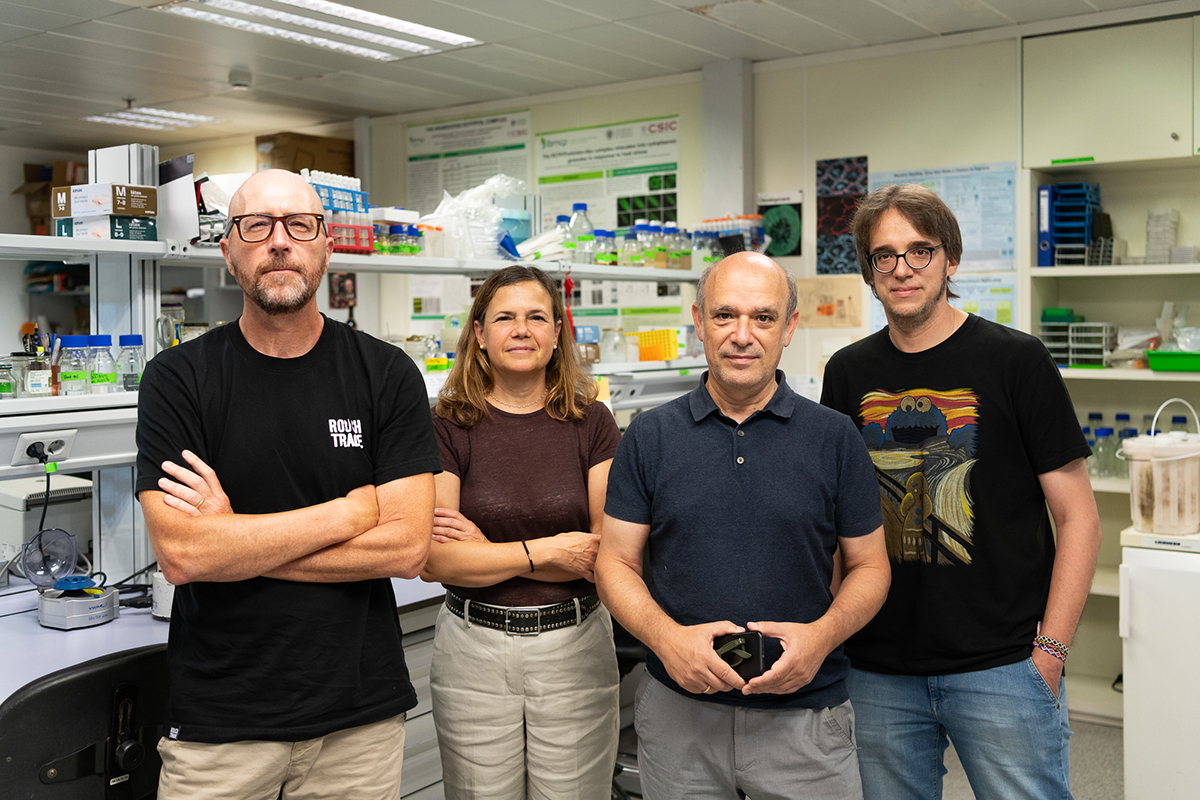 Asociación RUVID (@asociacionruvid) on Twitter photo 🌱 Las plantas dejan de crecer en sequía para proteger su ADN de mutaciones f.mtr.cool/vtlnroatxk
El trabajo desarrollado por el <a href="/IBMCP/">IBMCP - Instituto de Biología Molecular y Celular</a> abre la puerta a crear plantas más resistentes que no reduzcan su crecimiento en épocas de estrés hídrico. 🌱 Las plantas dejan de crecer en sequía para proteger su ADN de mutaciones f.mtr.cool/vtlnroatxk
El trabajo desarrollado por el <a href="/IBMCP/">IBMCP - Instituto de Biología Molecular y Celular</a> abre la puerta a crear plantas más resistentes que no reduzcan su crecimiento en épocas de estrés hídrico.