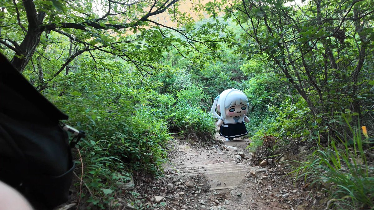 사장님이 주말(주말아님)에 등산 가자고 한다(?)

보러가기: youtu.be/MtSpKaQBOt0?si…