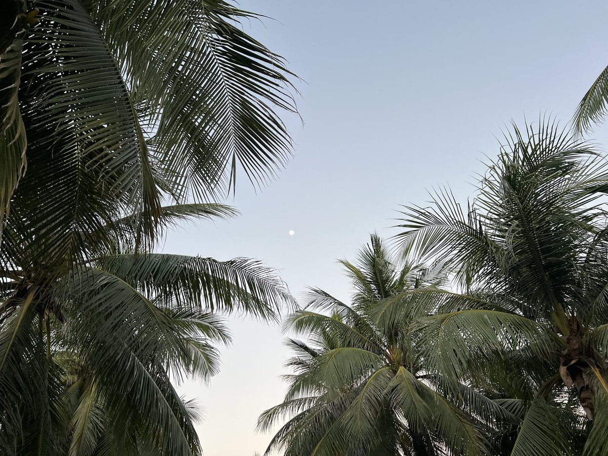 mkimes's tweet photo. Eighth Morning Run in Vietnam Before My SCUBA Adventure!
Each run brings a new adventure, sunrise breathtaking views today. Feeling energized and ready for my upcoming SCUBA trip! Excited to explore the underwater wonders that await. #MorningRun #Vietnam #RunningAdventures https://t.co/R09yizymqS