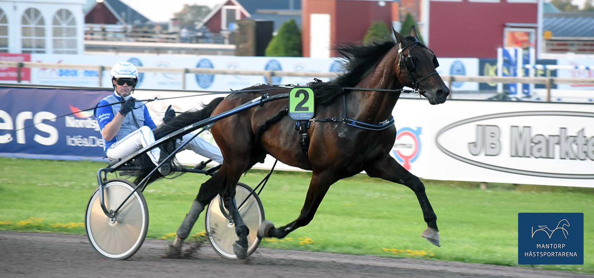 En kommande stjärna!

Mantorp Hästsportarena firade sitt 60-årsjubileum vid gårdagens tävlingar och det lockade närmare 700 personer till banan. Publiken fick se norskfödde Night Hawk (bilden) imponera i V64-6. Hästen vann sin sjätte seger.
Läs mer på: mantorphastsportarena.se/nyheter/en-kom…