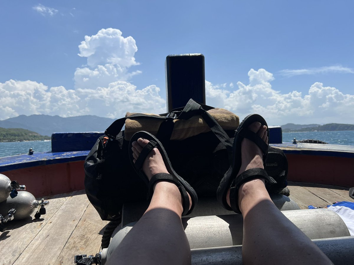 mkimes's tweet photo. Amazing SCUBA Trip Out of Nha Trang!

Had an incredible underwater adventure! Exploring the vibrant coral reefs and swimming alongside colorful marine life was truly unforgettable. The waters of Nha Trang never cease to amaze.
#SCUBA #NhaTrang #UnderwaterAdventure #ExploreVietnam https://t.co/KoFej8zOOF