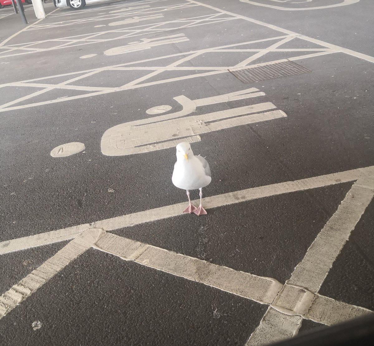 "Can't park there mate"