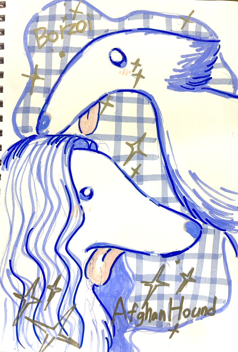 ボルゾイ＆アフガンハウンド
 #illustration 
#イラスト