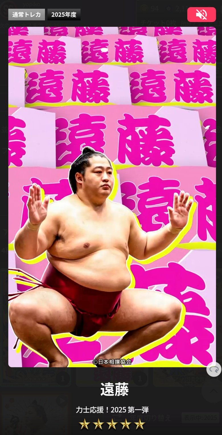 相撲 遠藤関 反物 甚平 相撲 追手風部屋 遠藤関の反物