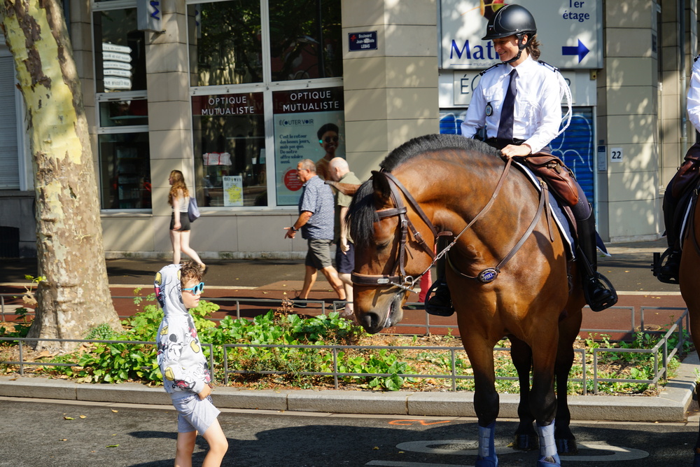 PoliceNat59's tweet image. #Policier | Quand un enfant croise le regard d'un cheval de la brigade équestre de la Police Nationale juste avant le défilé 👦🐴