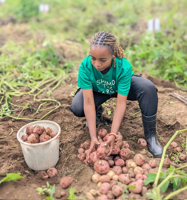 HabyarimanaMarc's tweet photo. Meet my friend, a passionate farmer and a true influencer in agriculture 🌱💪. She’s not just growing crops — she’s growing hope and inspiration for many young girls. Proud of her dedication and energy in transforming farming! 👩🏾🌾✨ #WomenInAg #YouthInAg #GirlPower
#FeedCommunity https://t.co/hV0z1goHbo