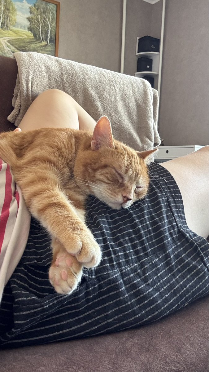 Tanya🇺🇦Bousova (@bousovat) on Twitter photo 