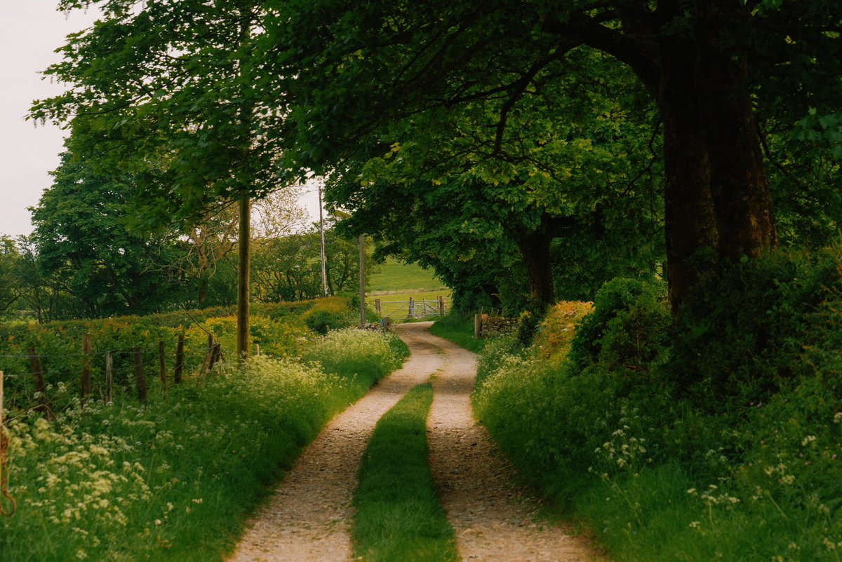 visualsofearth1's tweet photo. Welsh countryside https://t.co/dQqcjLnSbT