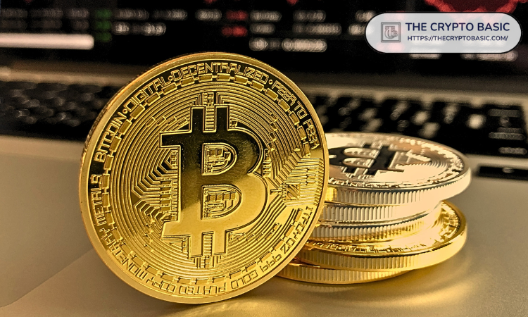 TheCryptoBasic tweet media