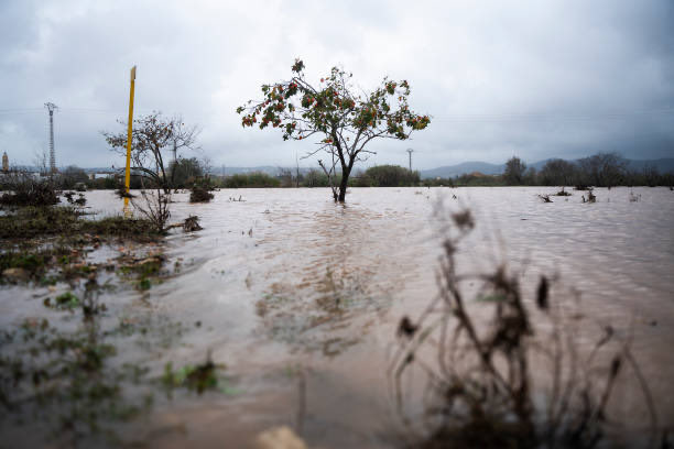 🌍 Hui 15 de juliol és el Dia Europeu per les Víctimes de la Crisi Climàtica.

En el nostre territori recordem les víctimes de la #Dana.

La jornada, aprovada pel Parlament Europeu , ens convida a:
✊ Commemorar a les víctimes
💚 I sensibilizar sobre l'impacte del canvi climàtic.