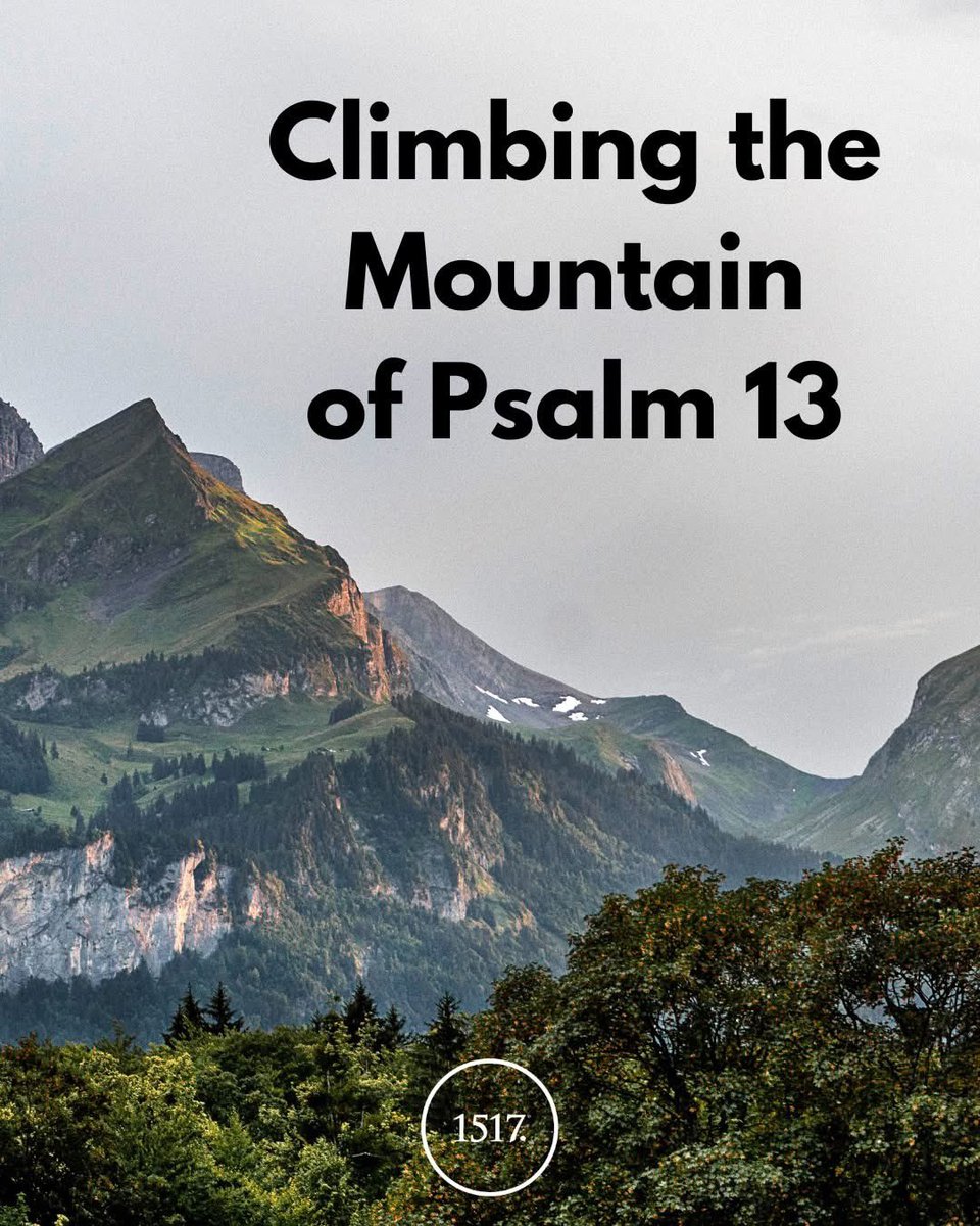 I finally climbed the mountain.

The journey began in desperation—fueled by fear, anger, and pain. I didn’t know how long it would take, nor the cost. Some days I inched forward; others, I fell back. Then, from the final peak, I saw: it was all a gift from God.

This “mountain"