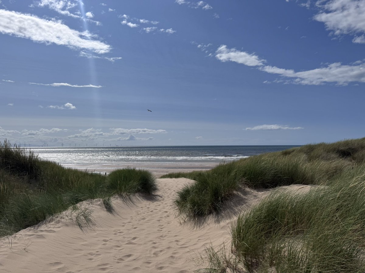 Dog went to the beach 🐚