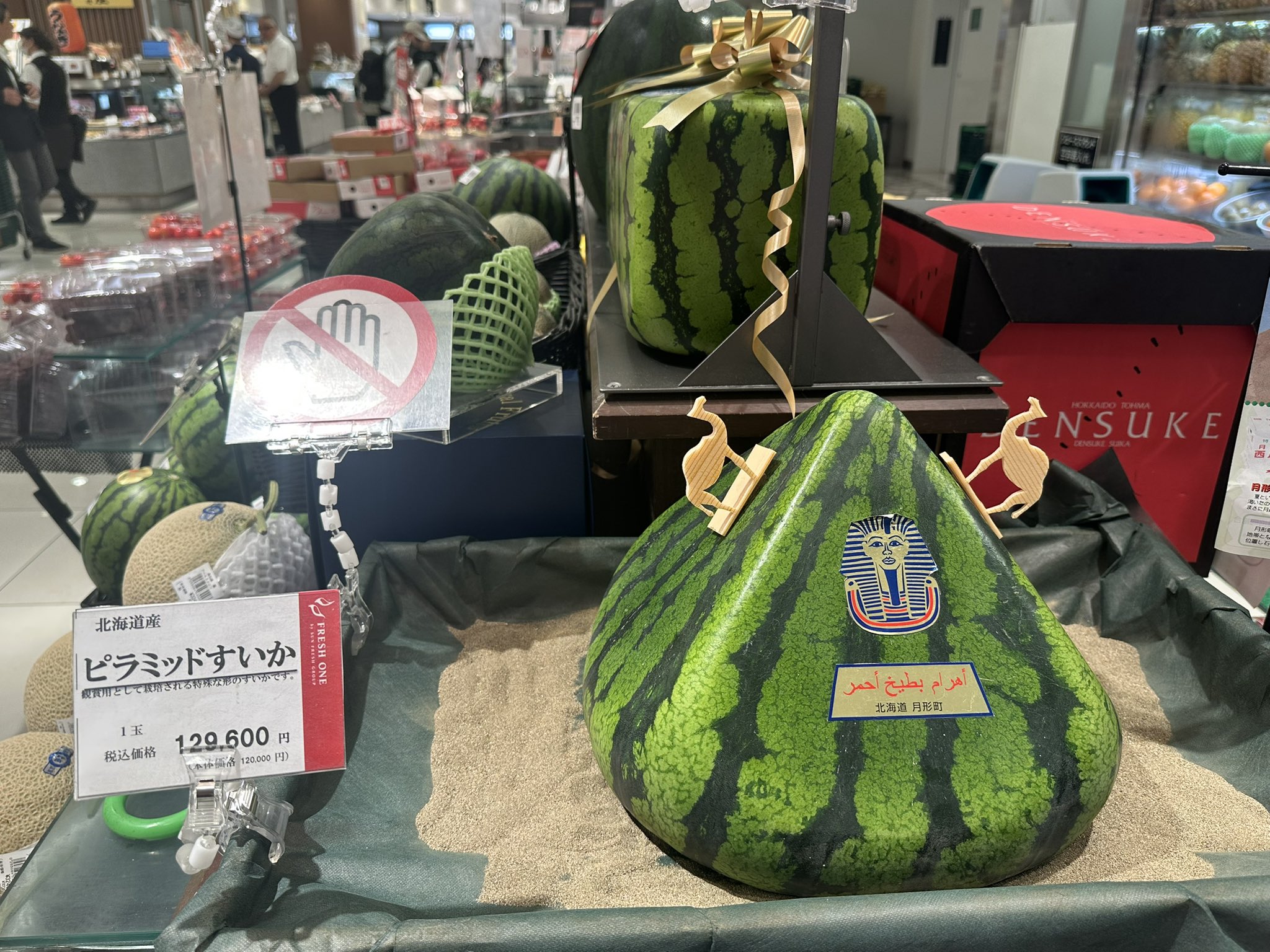 スイカさん（╹◡╹）大きい（╹◡╹） スイカさん（╹◡╹）大きい（╹◡╹）
