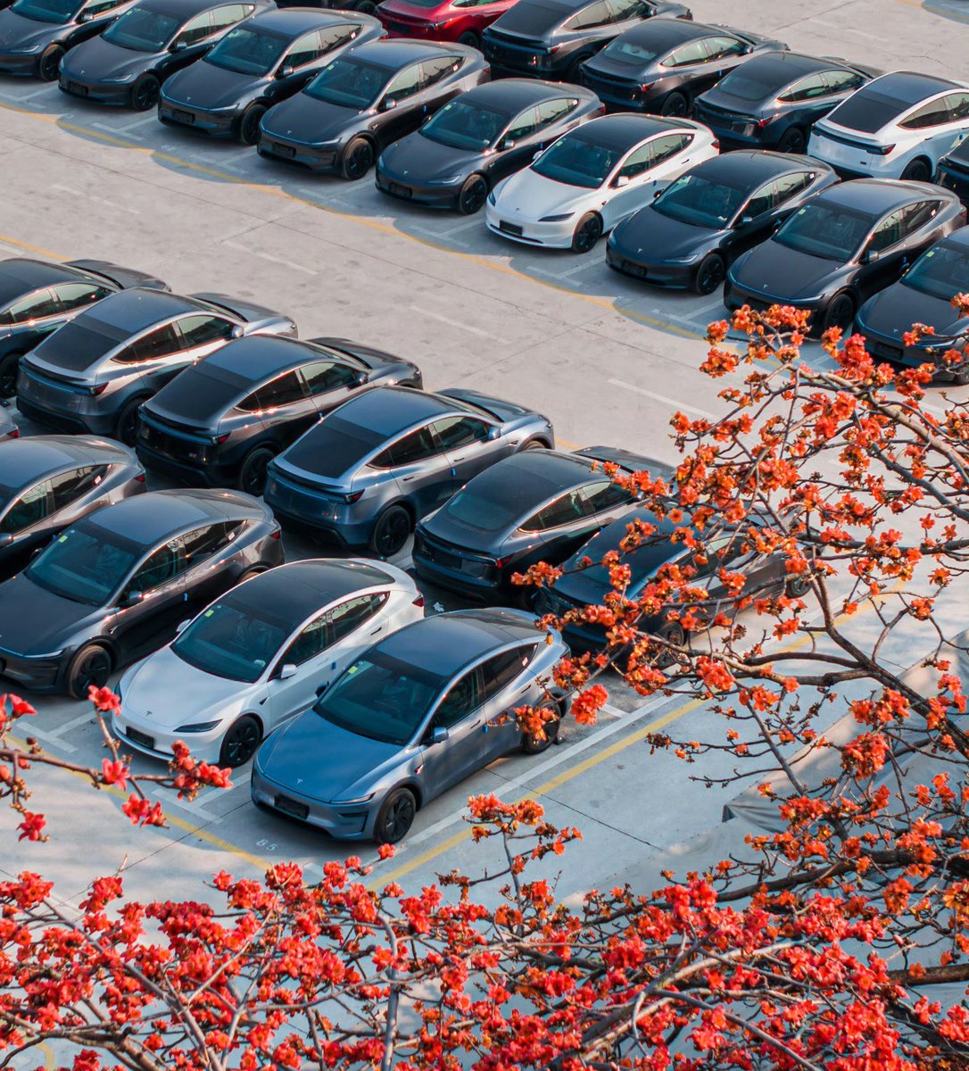 🇨🇳 12,300 Teslas were insured in China last week (7-13 July)