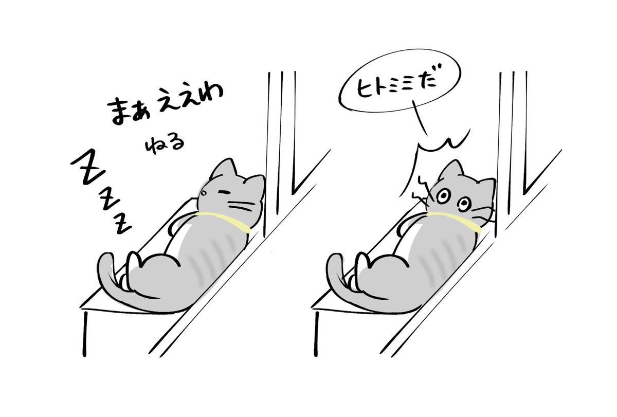 今日の癒されポイント 
黄色い鈴付き首輪のネチコヤン🐈